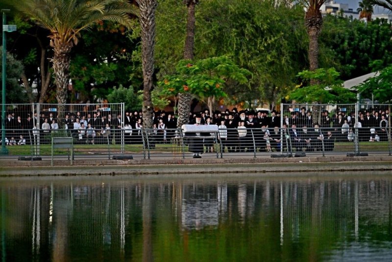 יהושע פרוכטר