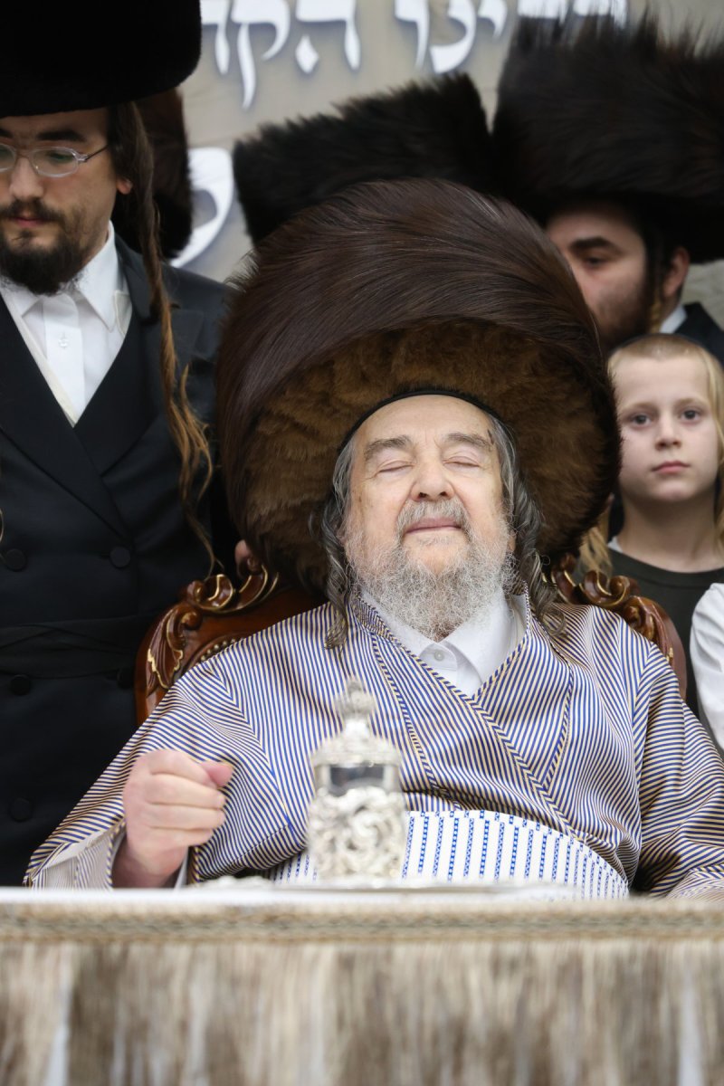 דוד ארזני