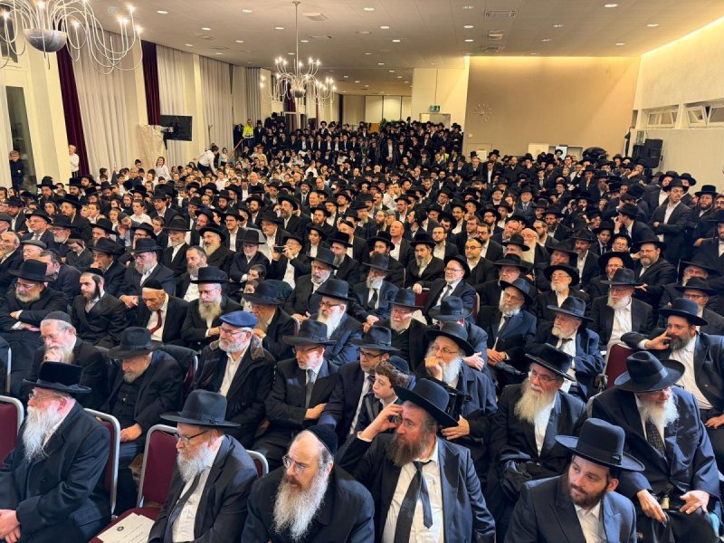 דניאל נפוסי ומאיר זלזניק