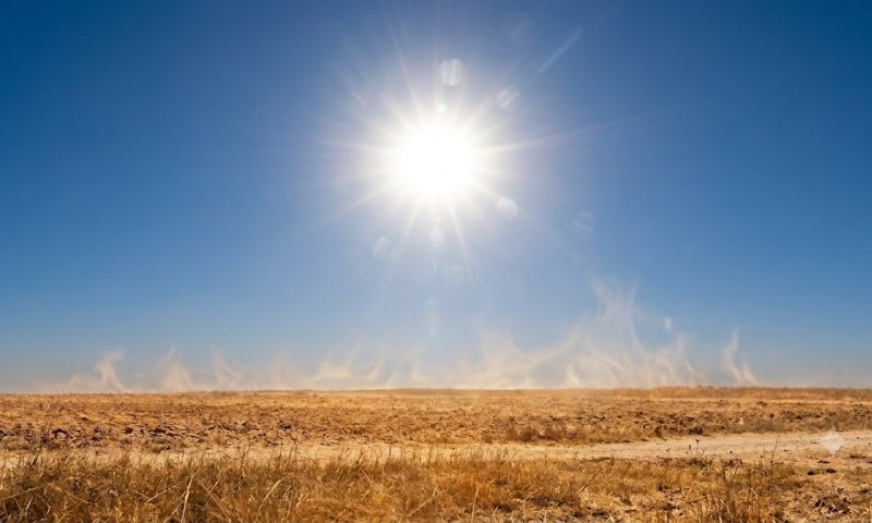 כ-10,000 מתו מחום בגרמניה: גל החום הקיצוני מכה בעולם