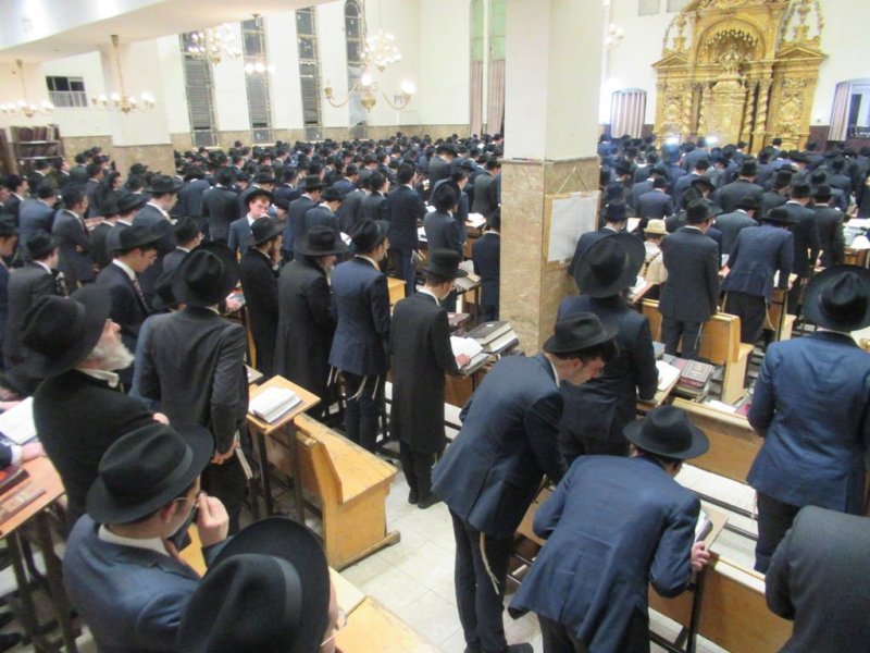 באדיבות המצלם