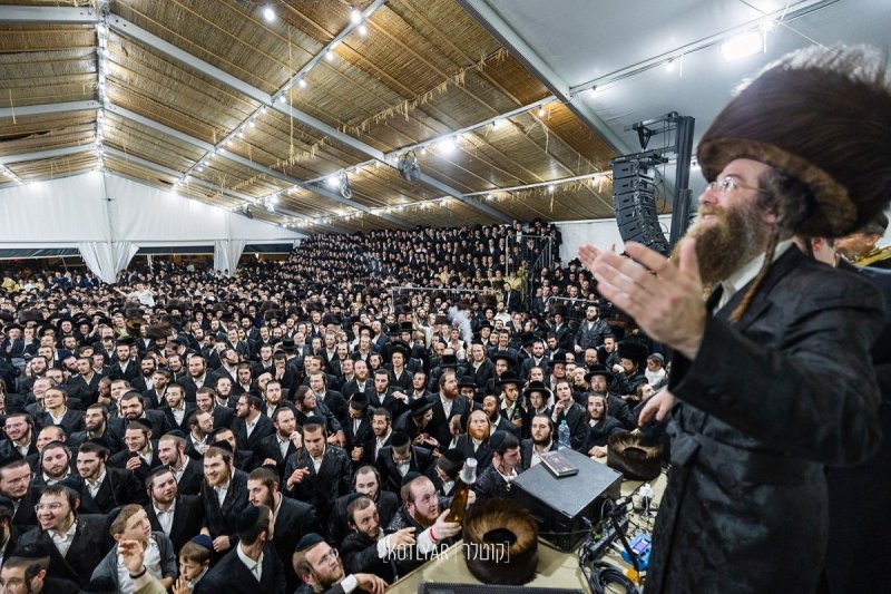 מענדי קוטלר