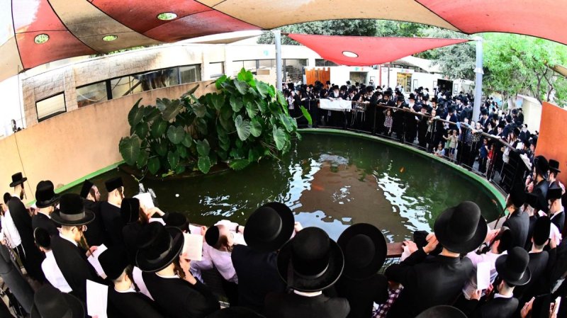 שוקי לרר