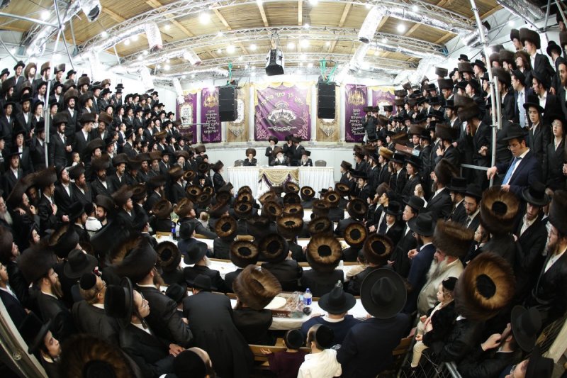 דוד ארזני וארי קופרשטוק