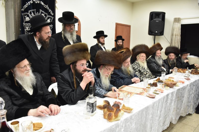 יהודה פרקוביץ