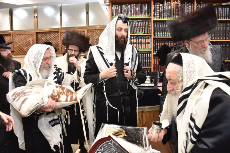 יהודה פרקוביץ