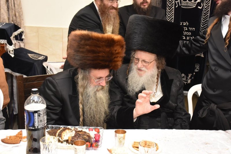 יהודה פרקוביץ