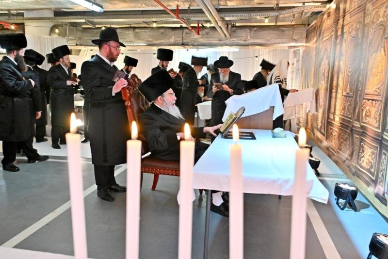 יהושע פרוכטר