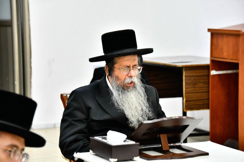 שוקי לרר