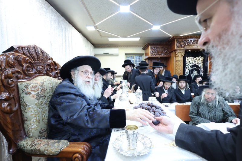 שלומי טריכטר