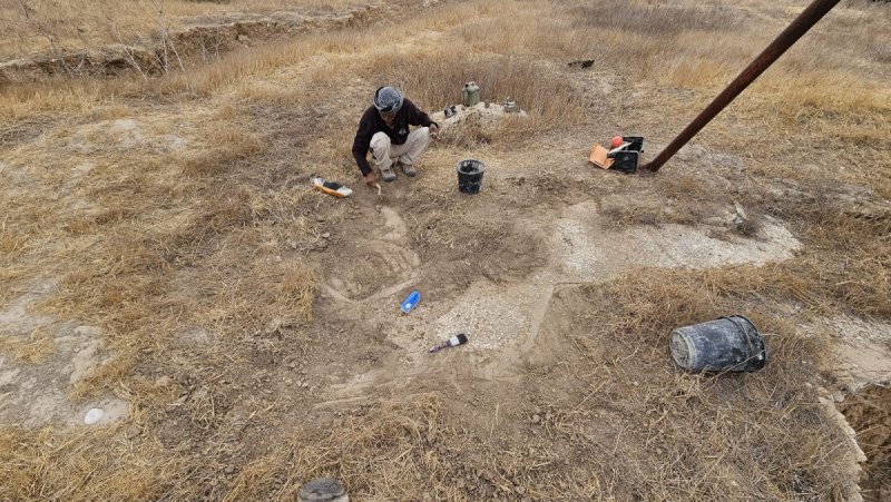 אלה טל חיוט רשות הטבע והגנים