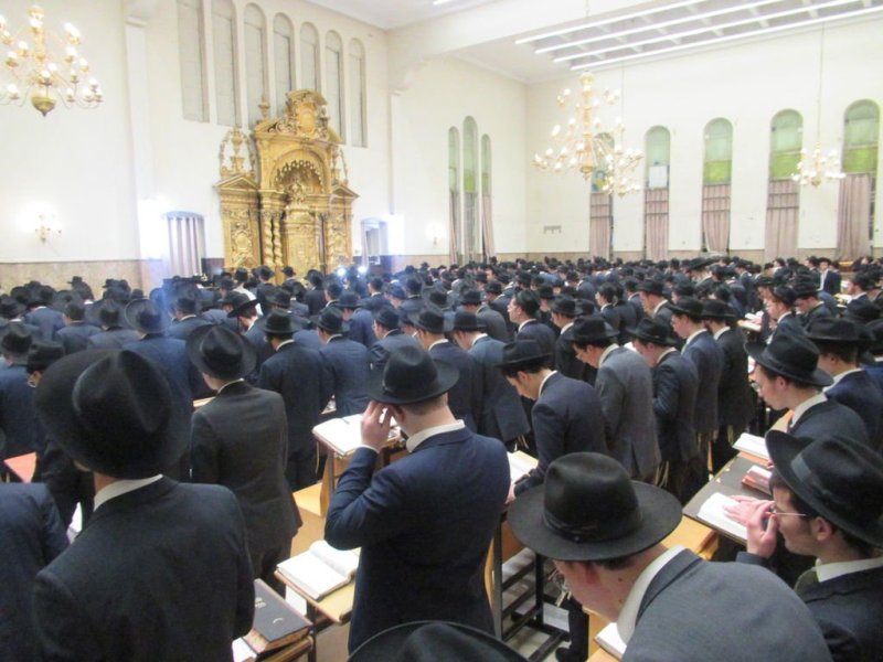 באדיבות המצלם