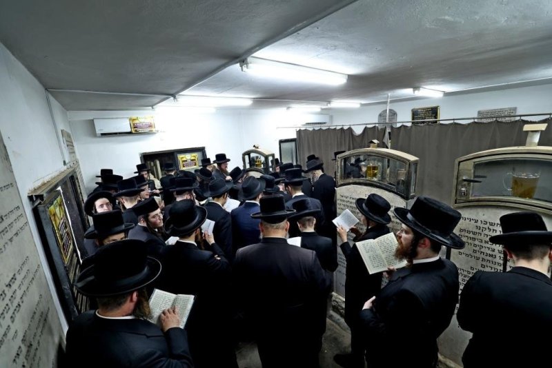 יהושע פרוכטר