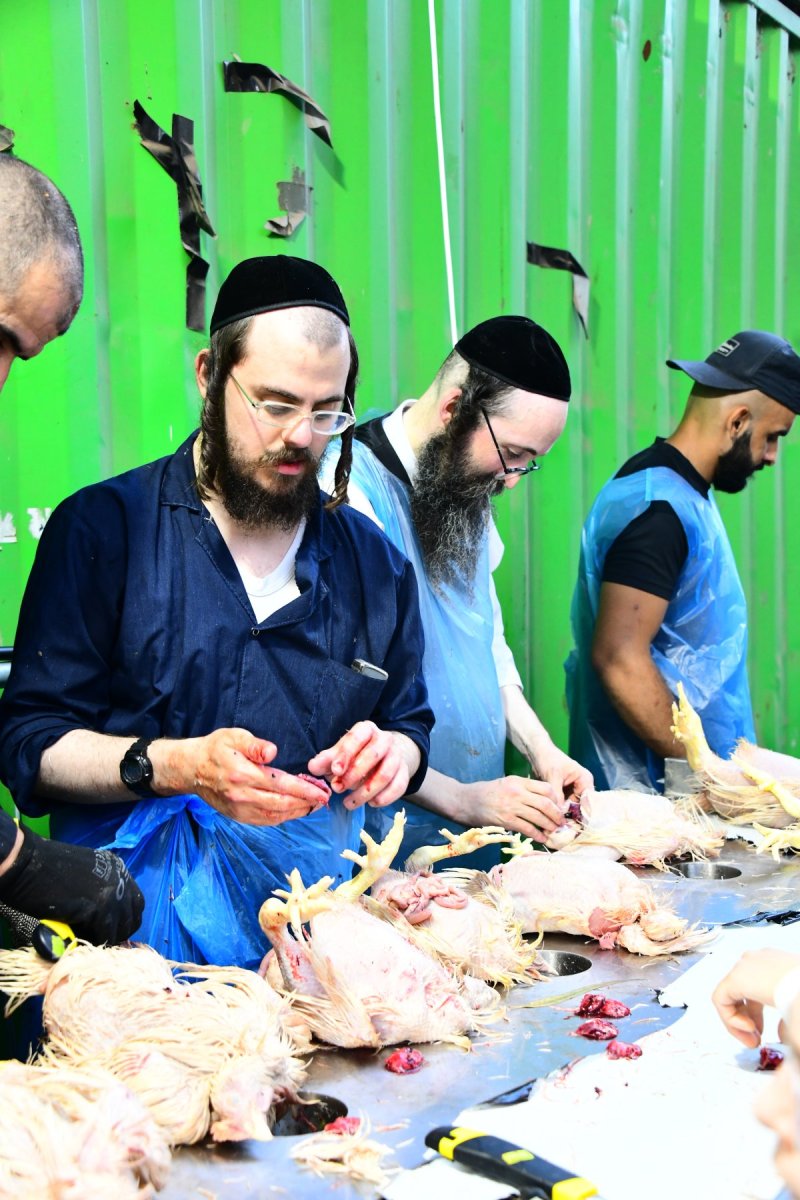 שוקי לרר