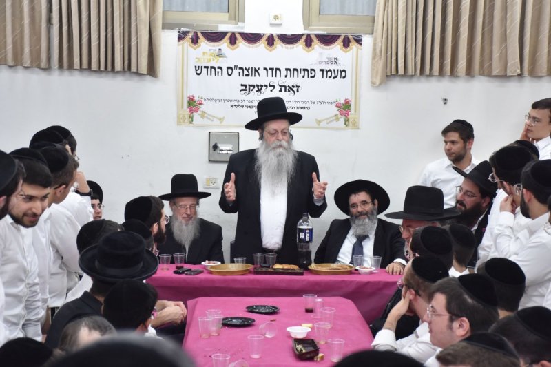 יהודה פרקוביץ