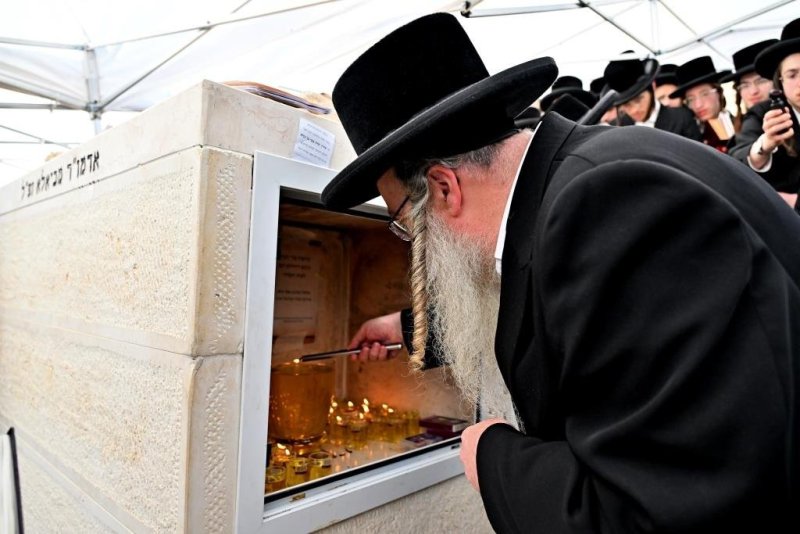 יהושע פרוכטר