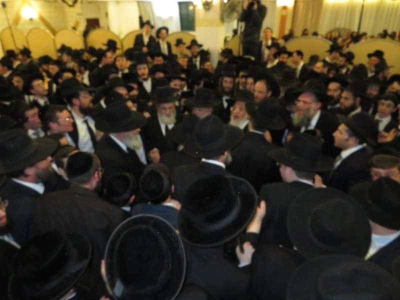 שלומי טריכטר