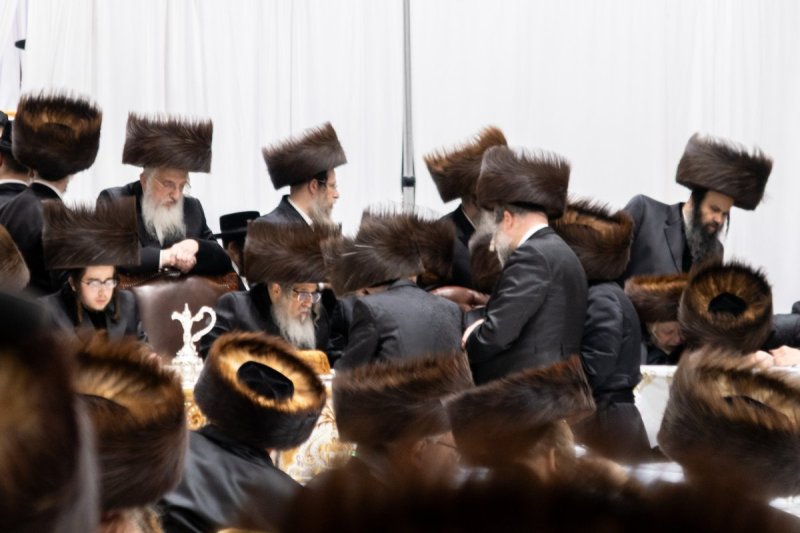 יוסי גולדברגר