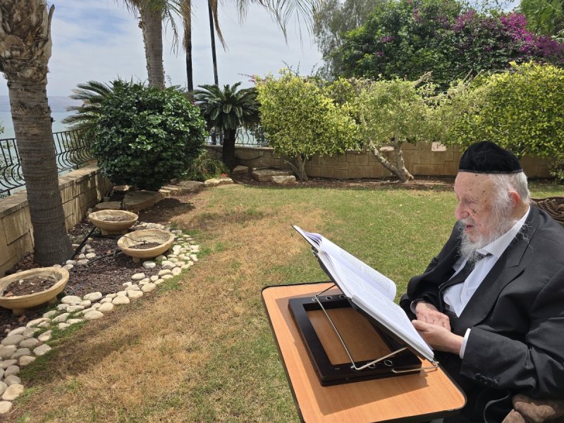 שוקי לרר