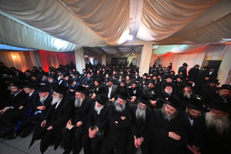 יהושע פרוכטר