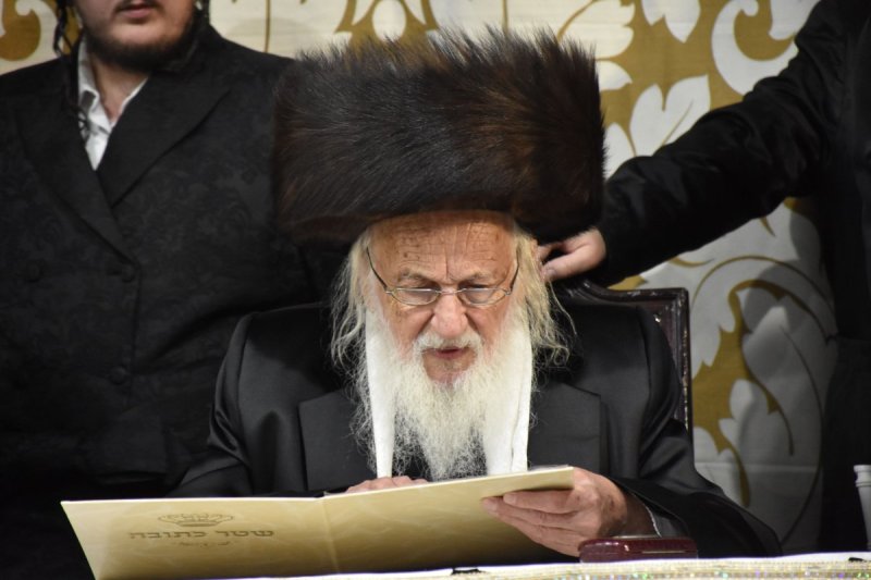 יהודה פרקוביץ