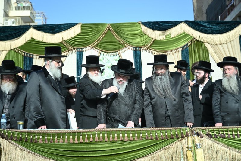 משה גולדשטיין