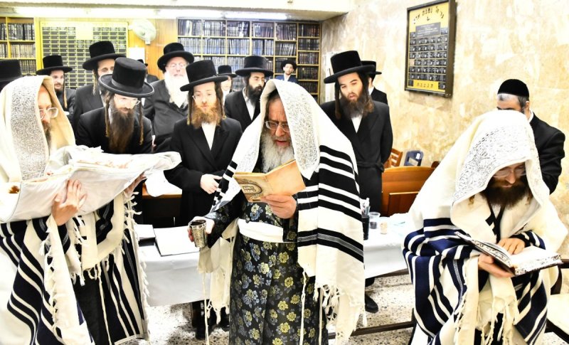 שוקי לרר