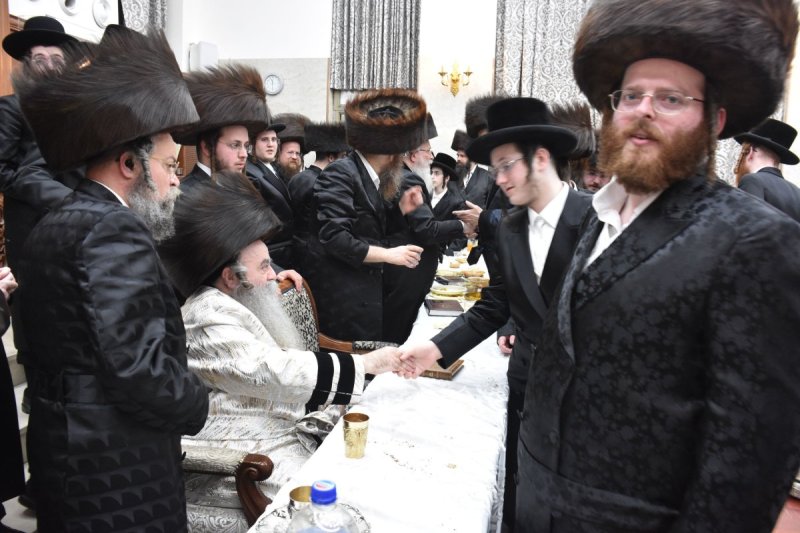 יהודה פרקוביץ