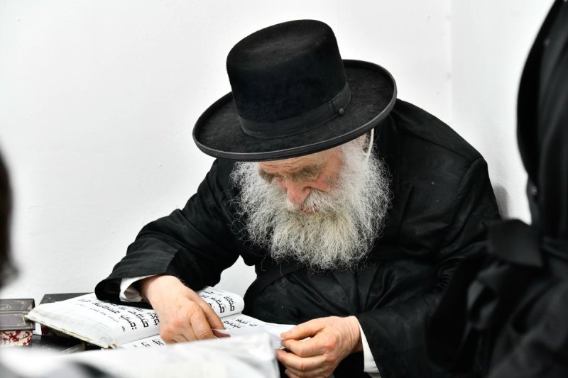 שוקי לרר