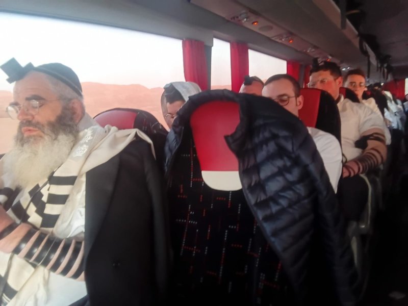 באדיבות המצל