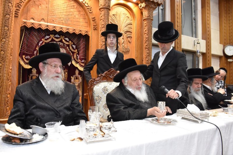 יהודה פרקוביץ