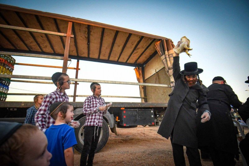 ארי קופרשטוק