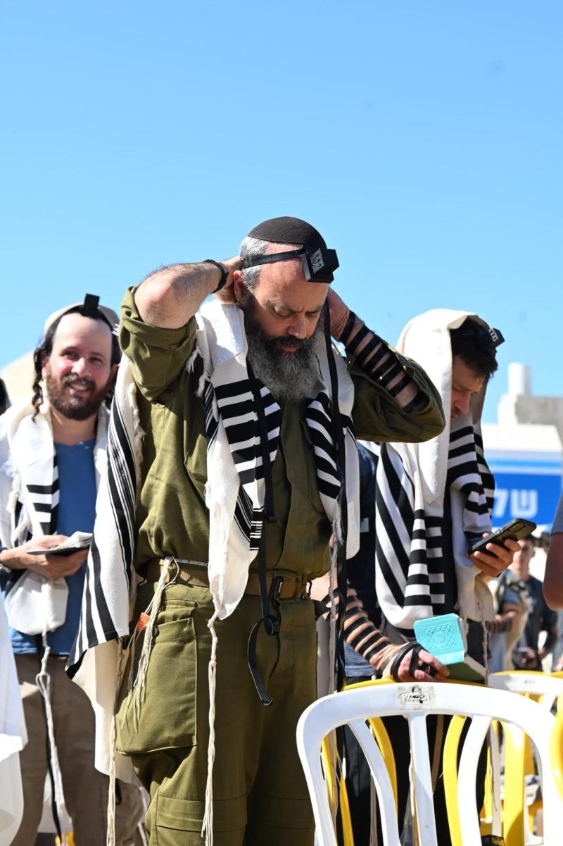 פאולינה פטימר