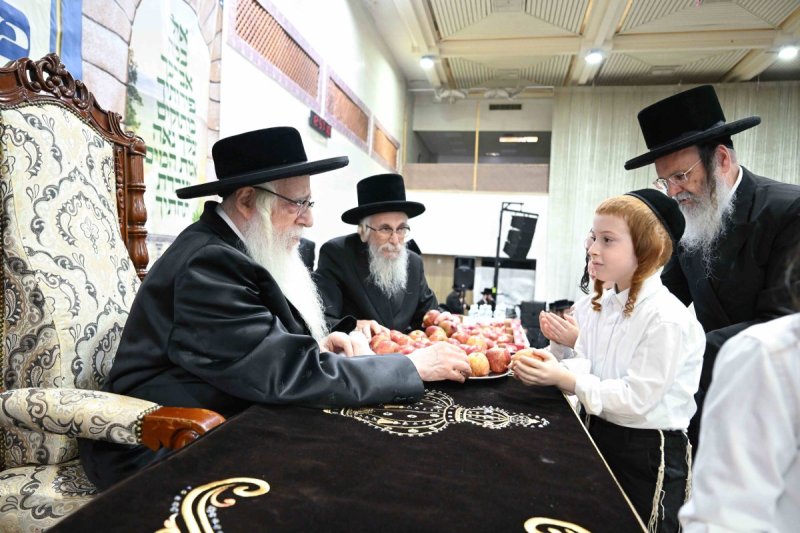 משה גולדשטיין