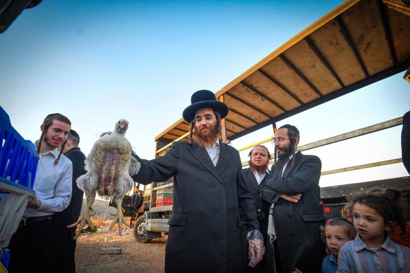 ארי קופרשטוק