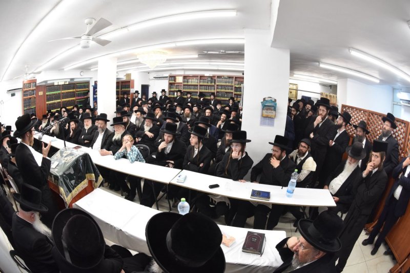 יהודה פרקוביץ