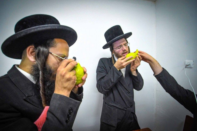 ארי קופרשטוק