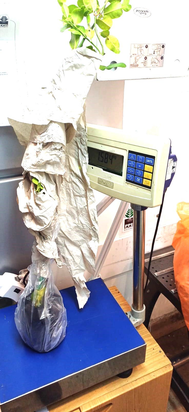 משרד החקלאות וביטחון המזון