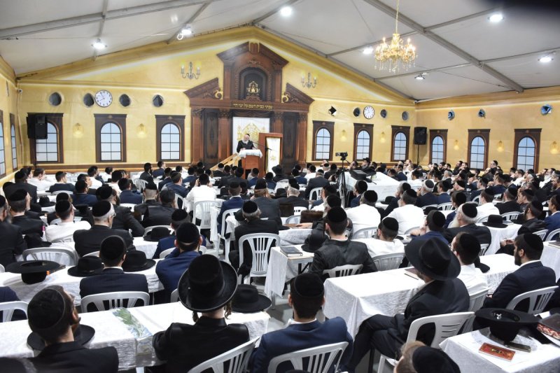 יהודה פרקוביץ