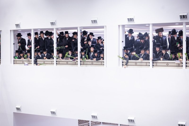 האחים לאנטשעווסקי ואייזיק ג.