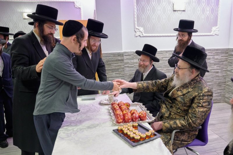 דודי בראון
