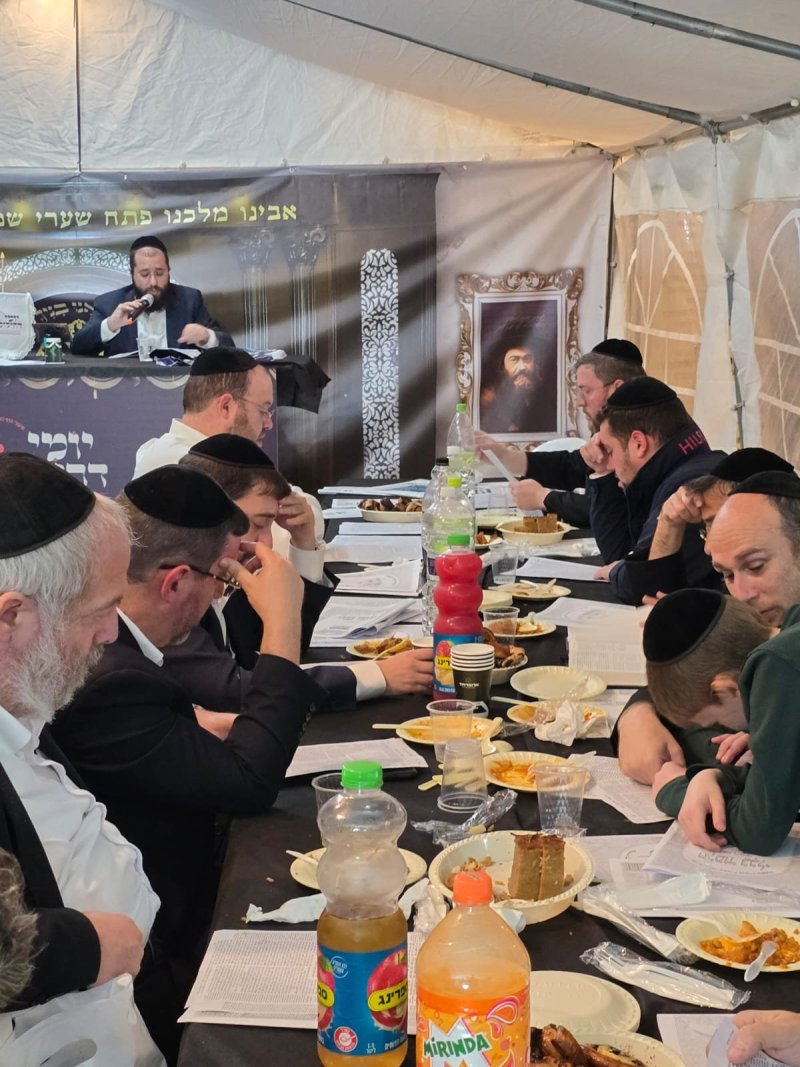 אלחנן קוטלר