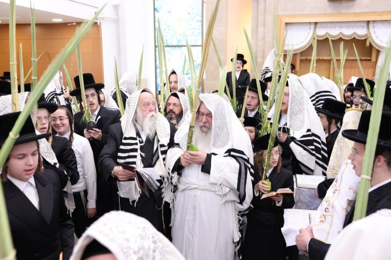 שוקי לרר, אברומי ברגר ומ.ש