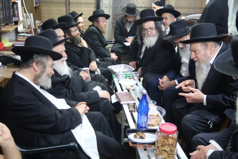 שימי פ.