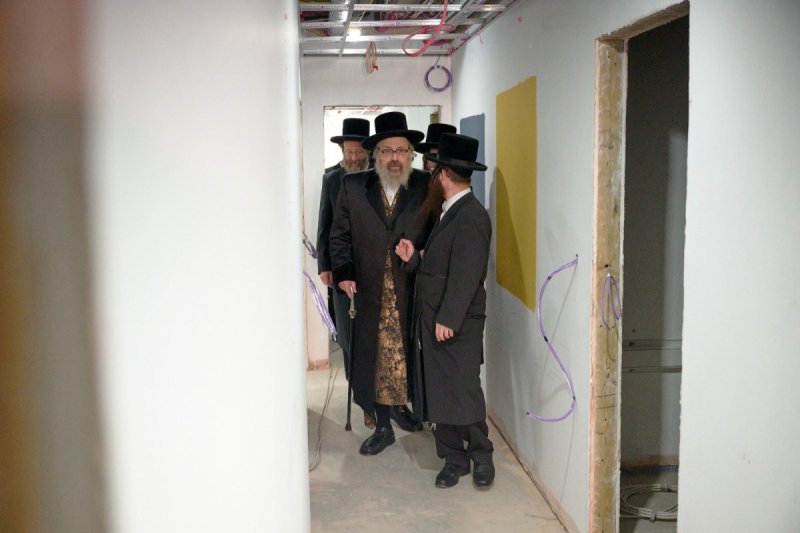דודי בראון