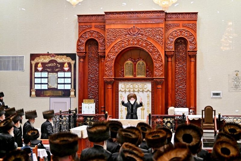 יהושע פרוכטר