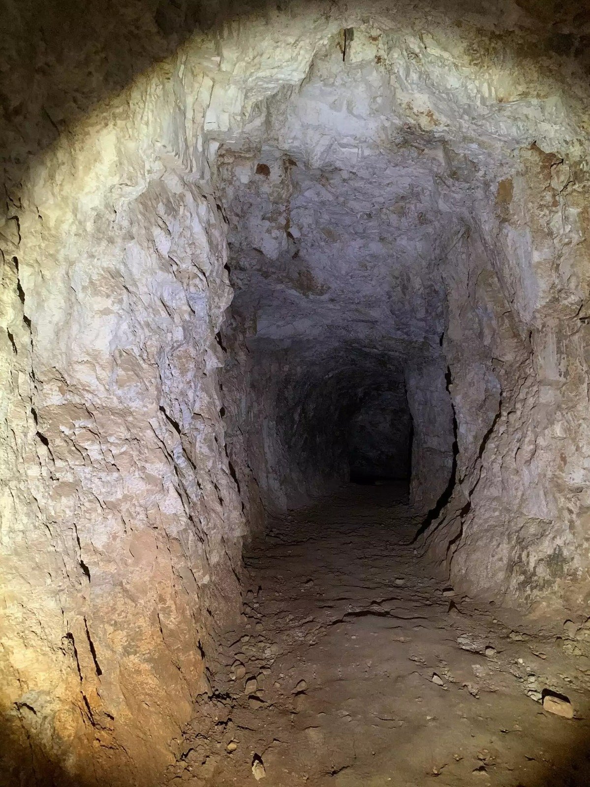 רשתות חברתיות