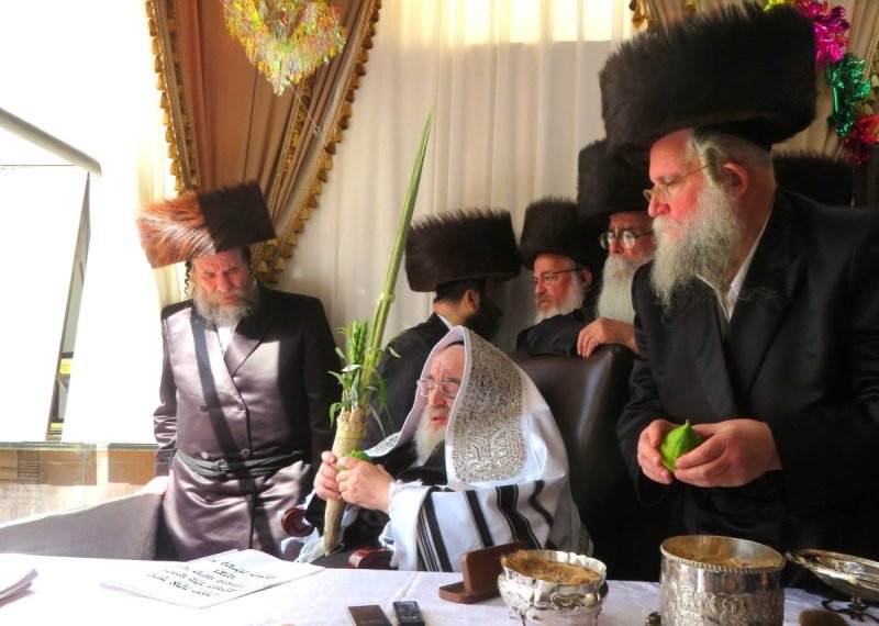 שוקי לרר