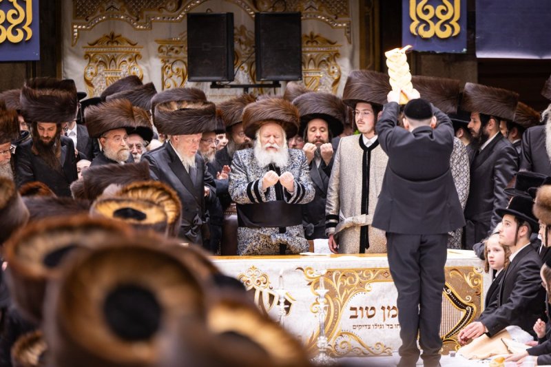 באדיבות המצלם