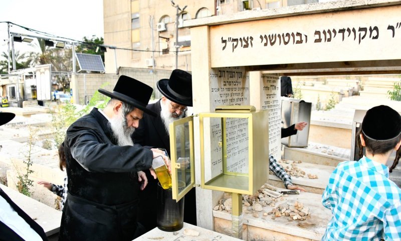 ביומא דהילולא: האדמו"ר מקוידינוב עלה לציון זקנו וערך את שולחנו הטהור